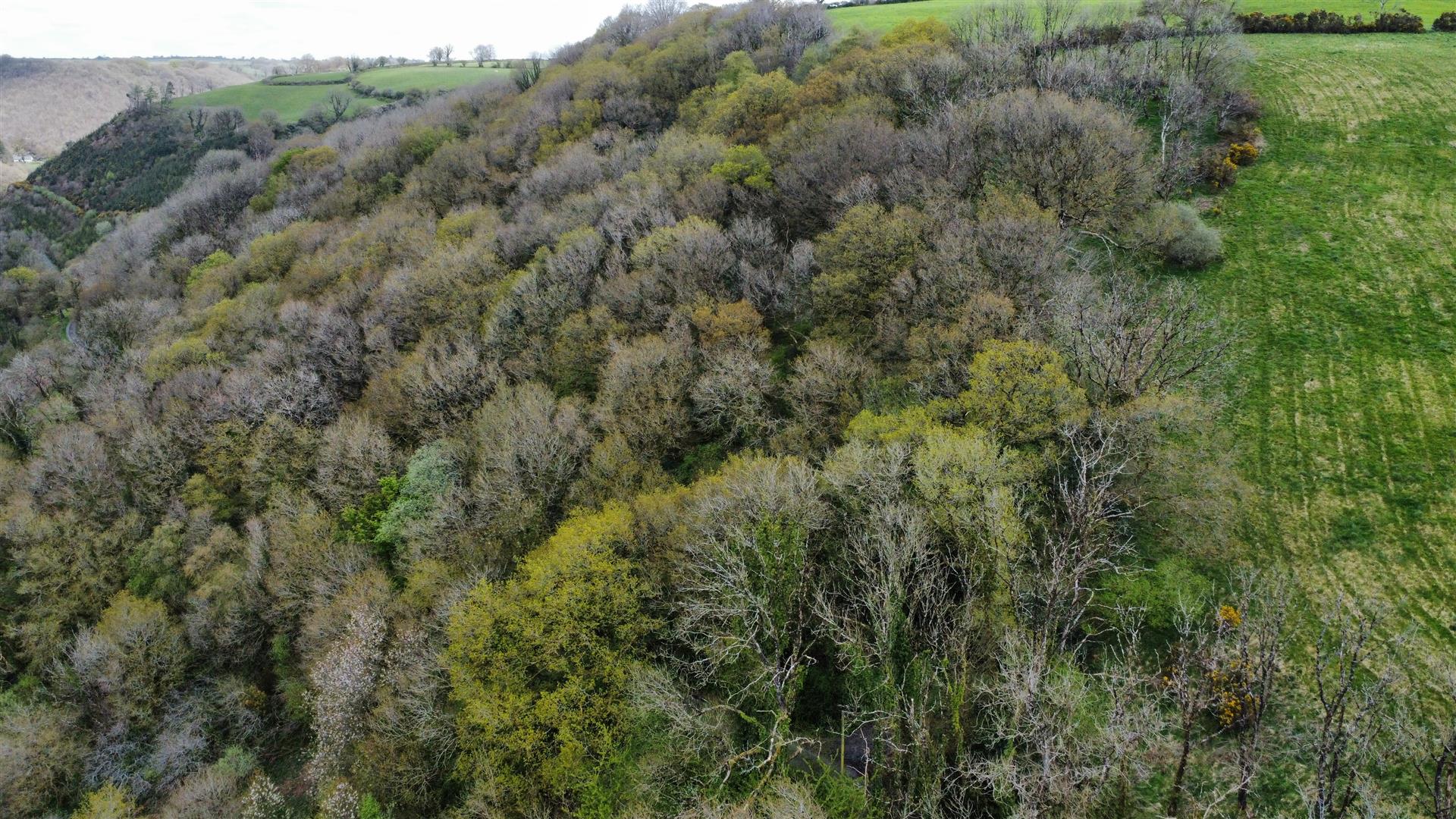 13.43 acres of Land at Gelliwen, St. Clears offered for sale in 3